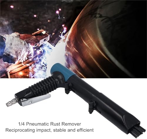 Walfront Pneumatic Rust Remover with 19 Steel Needles