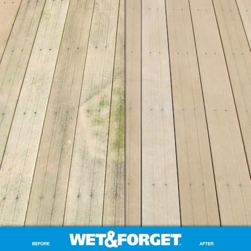 Wet Forget No Scrub Outdoor Cleaner 1 Gallon
