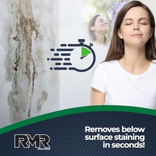 RMR-86 Mold Mildew Remover Bundle