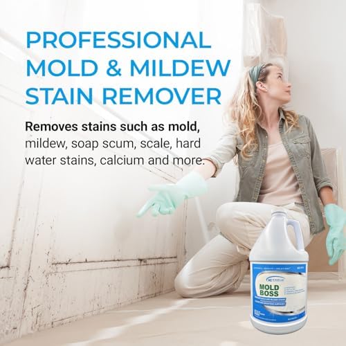 KINZUA ENVIRONMENTAL Mold Stain Remover 1 Gallon 1