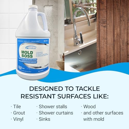 KINZUA ENVIRONMENTAL Mold Stain Remover 1 Gallon 1