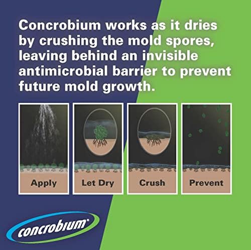 Rust-Oleum Concrobium 27400 Mold Control Aerosol 141 Oz