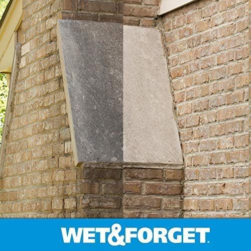 Wet Forget No Scrub Outdoor Cleaner 1 Gallon
