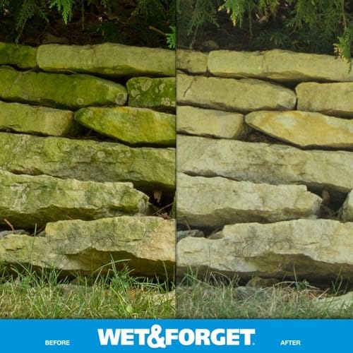 Wet Forget No Scrub Outdoor Cleaner 1 Gallon
