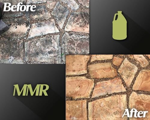 Bad Axe MMR Mold Stain Remover - 1 Gallon 32oz