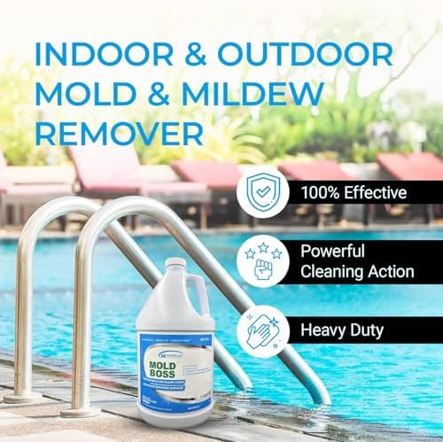 KINZUA ENVIRONMENTAL Mold Stain Remover 1 Gallon 1