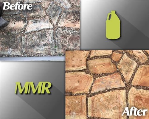 Bad Axe MMR Mold Stain Remover - 1 Gallon 2 1