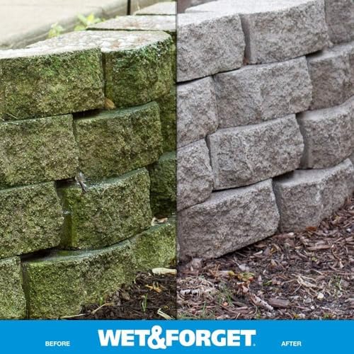 Wet Forget No Scrub Outdoor Cleaner 1 Gallon