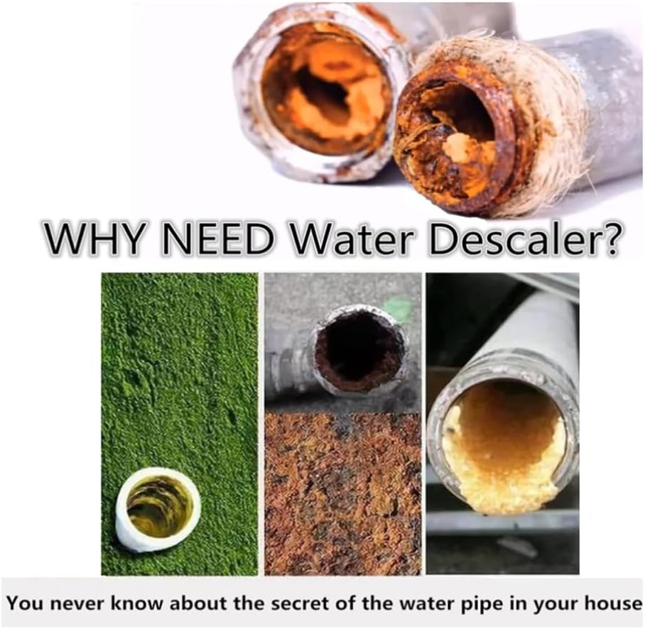 Wuden Electronic Water Descaler System US Plug