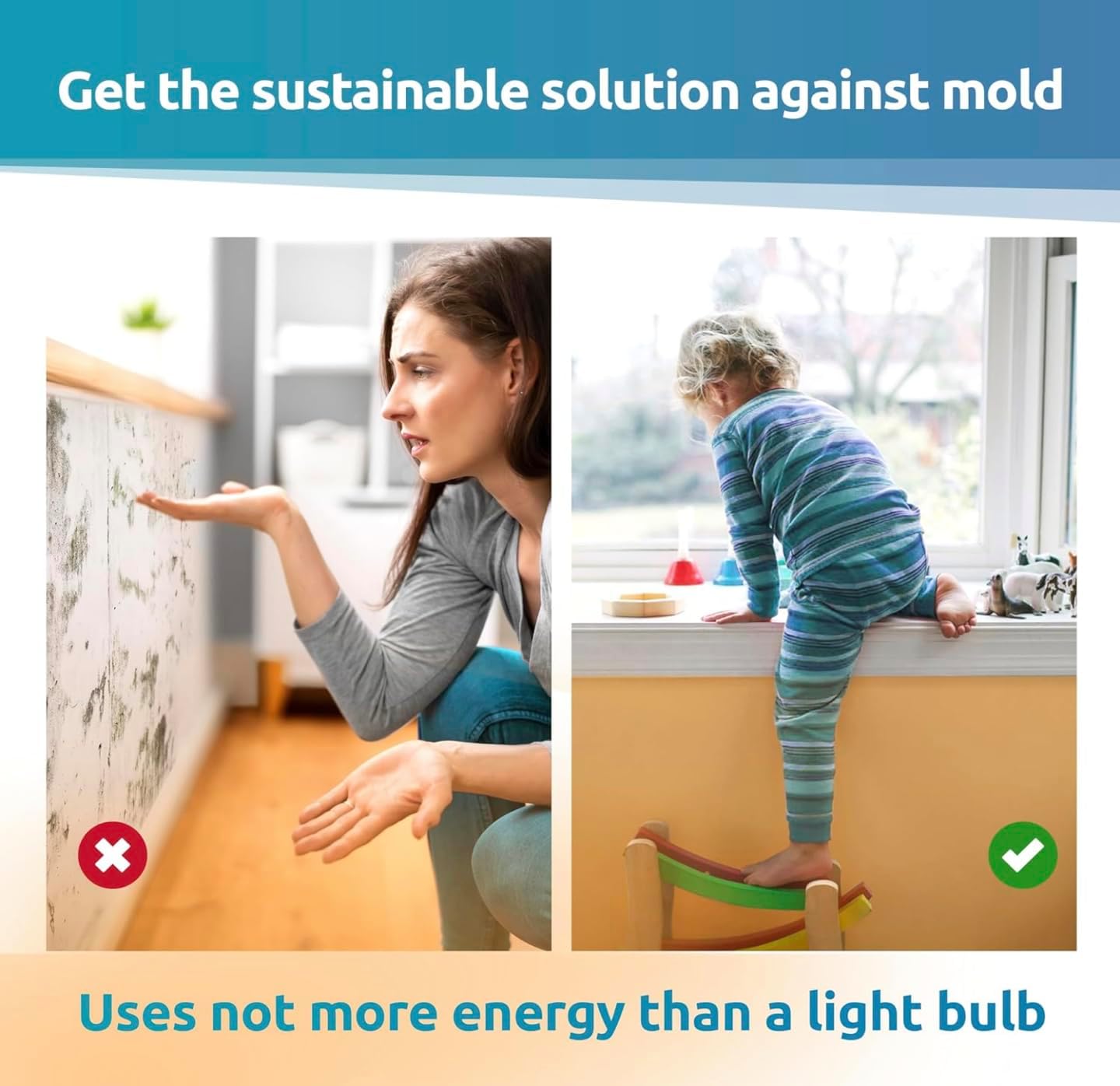 Elias Mold Dry - Mold Remover Wall Set of 2