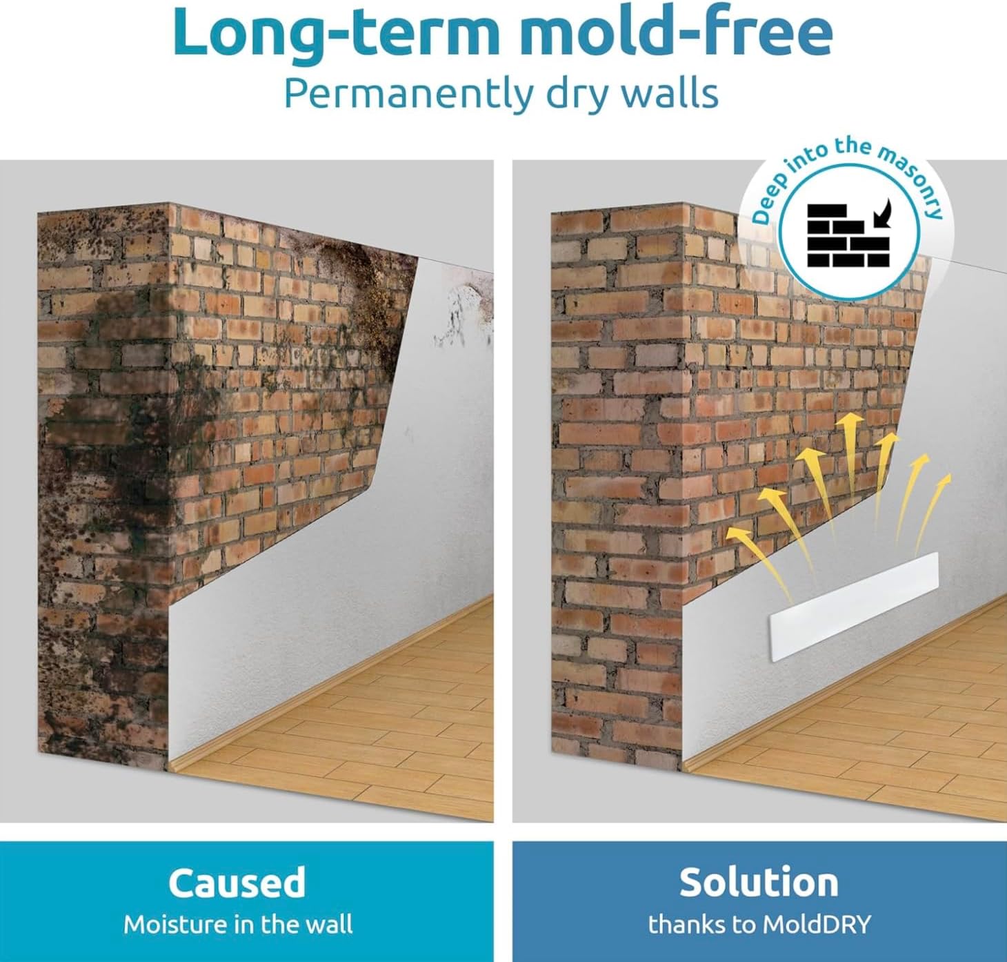 Elias Mold Dry - Mold Remover for Walls